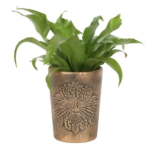 Green Man Bronze Terracotta Plant Pot by Lisa Parker